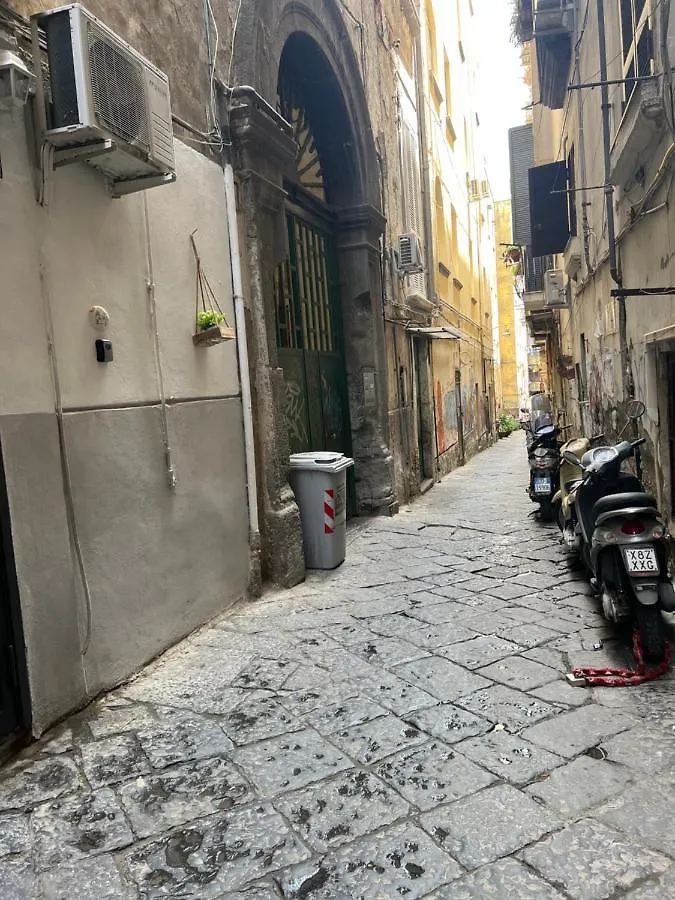 Apartamento Housepurgatorio14 Centro Storico Nápoles 0*,